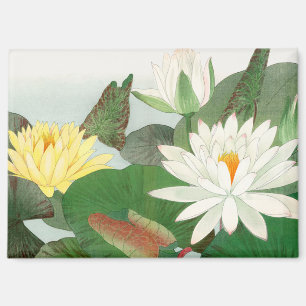 Nymphaea lotus, Japanese woodblock print, 1917 Magnet