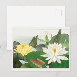 Nymphaea lotus, Japanese woodblock print, 1917 Postcard