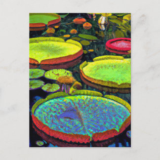 Nymphaeales Postcard