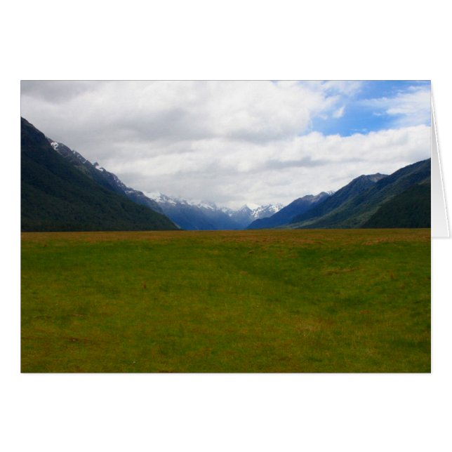nz field (Front Horizontal)
