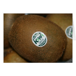 nz kiwi