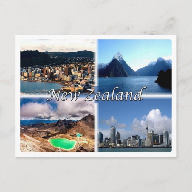 NZ New Zealand - Postcard (Front)
