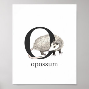 O for Opossum Poster