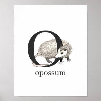 O for Opossum Poster