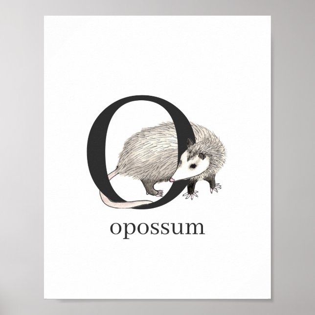 O for Opossum Poster (Front)
