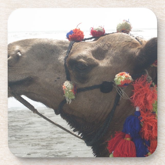 O man! Muscat Coaster (Front)