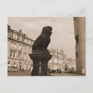 O Master,where art thou? Postcard