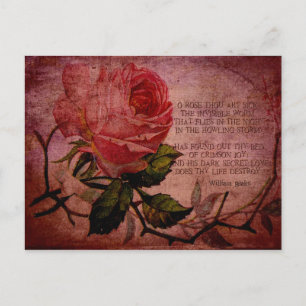 O Rose Thou Art Sick Postcard