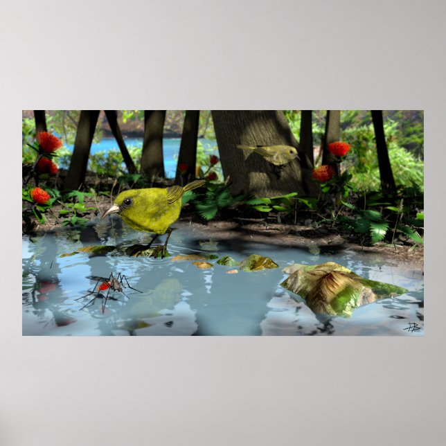 Oahu Amakihi Poster (Front)