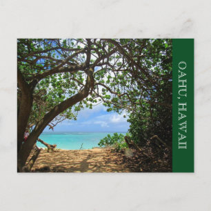 oahu beach path postcard