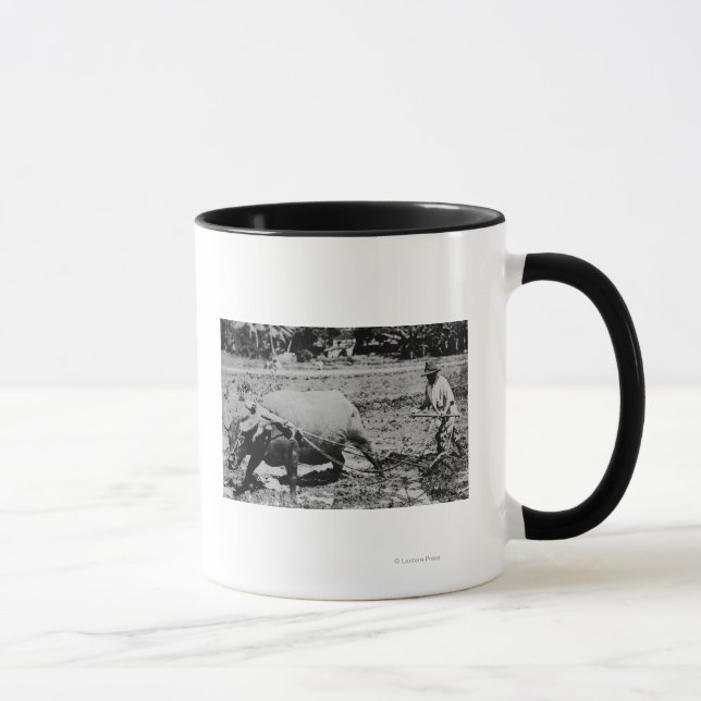 Oahu, Hawaii - A Water Buffalo & Farmer Tilling Mug (Right)