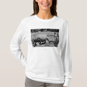 Oahu, Hawaii - A Water Buffalo & Farmer Tilling T-Shirt