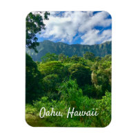 Oahu, Hawaii Rainforest