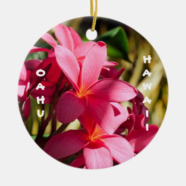 Oahu, Plumeria Flowers in Pink and White Ceramic Ornament (Front)