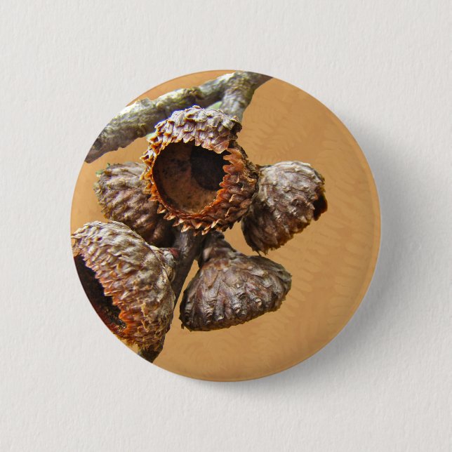 Oak Acorn Caps 6 Cm Round Badge (Front)