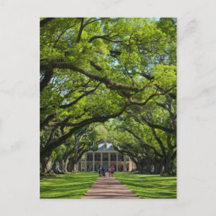 Oak Alley Plantation House Postcard