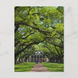 Oak Alley Plantation House Postcard