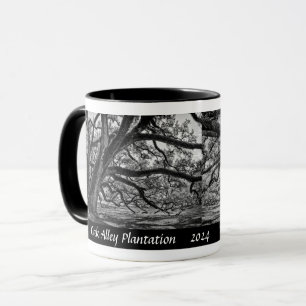 Oak Alley Plantation Live Oak Trees in B/W Mug