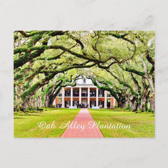 Oak Alley Plantation Postcard (Front)