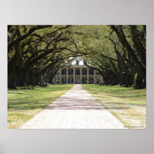 Oak Alley Plantation Poster