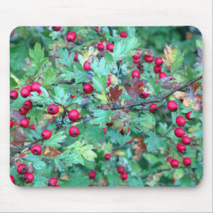 Oak and berries mouse pad