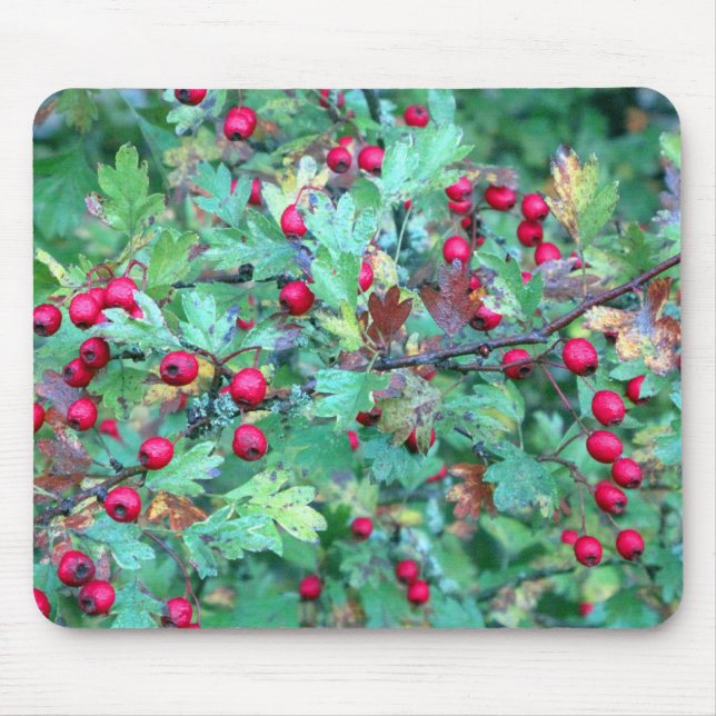 Oak and berries mouse pad (Front)
