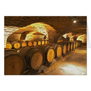 Oak barrles in the cellar at Domaine Comte