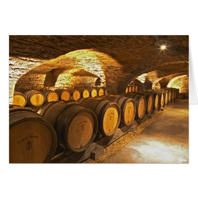 Oak barrles in the cellar at Domaine Comte (Front Horizontal)