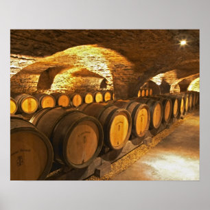Oak barrles in the cellar at Domaine Comte Poster