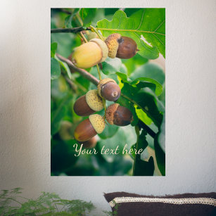 Oak branches with acorns  poster