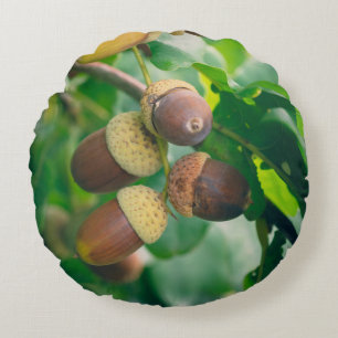 Oak branches with acorns round cushion