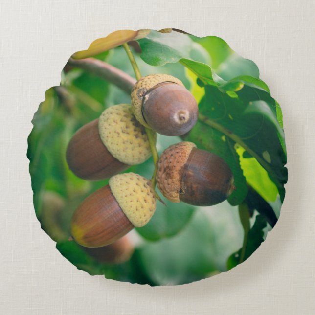 Oak branches with acorns round cushion (Front)
