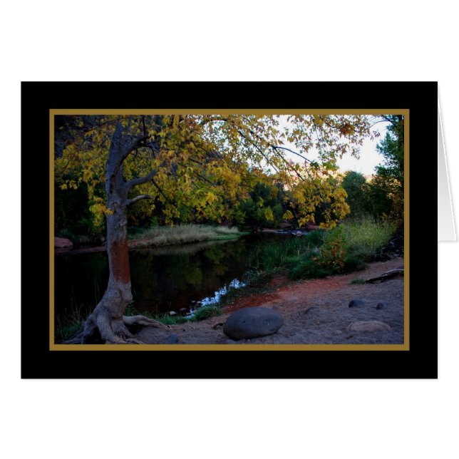 Oak Creek 246 (Front Horizontal)