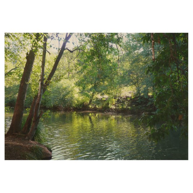 Oak Creek I in Sedona Arizona Nature Photography Wood Poster (Front)