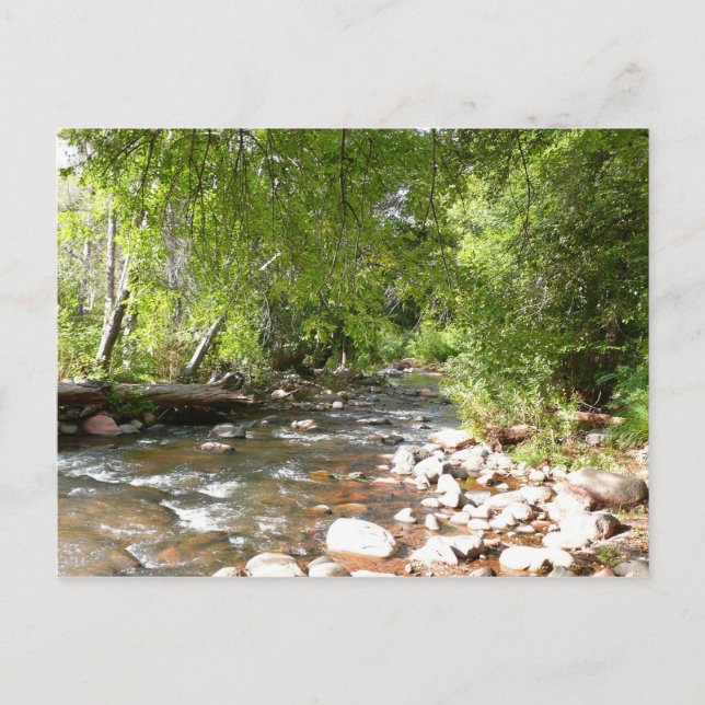 Oak Creek II in Sedona Arizona Nature Photography Postcard (Front)