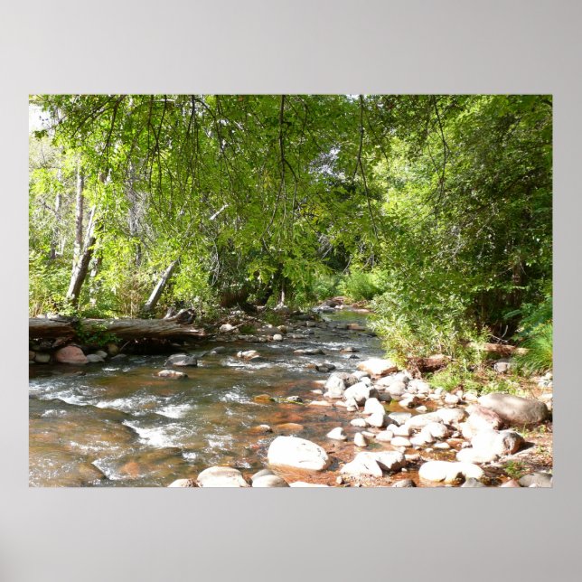 Oak Creek II in Sedona Arizona Nature Photography Poster (Front)
