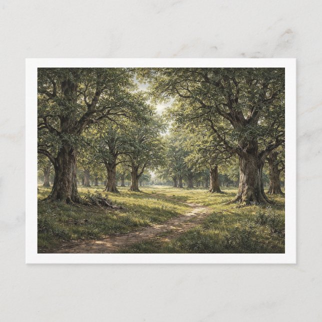 Oak forest. Postcard (Front)