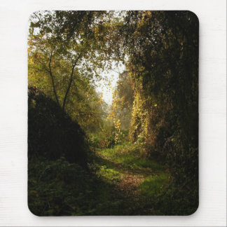 Oak Grove Morning Light Mouse Pad