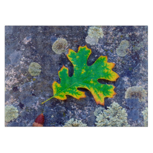 Oak Leaf and Acorns on a Lichen covered rock Cutting Board