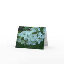 Oak Leaf Hydrangea Bloom Greeting Card