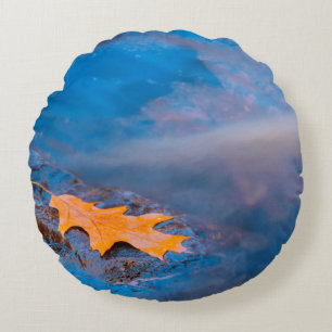 Oak leaf on rock in Rosseau River Round Cushion