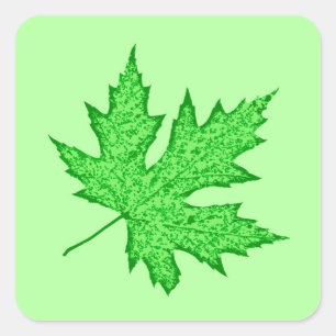 Oak leaf - shades of green square sticker