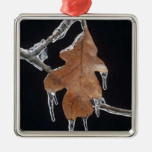 Oak Leaf with Ice Sickles After Ice Storm ; Metal Ornament