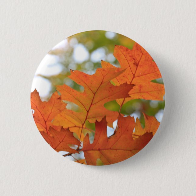 Oak Leaves 6 Cm Round Badge (Front)