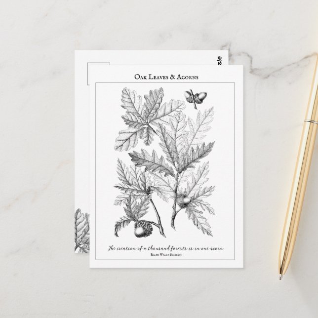 Oak Leaves and Acorns Customisable Quote  Postcard (Front/Back In Situ)