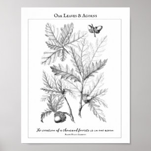 Oak Leaves and Acorns Customisable Quote Poster