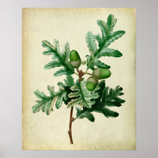Oak Leaves no.5 Farmhouse Wall Decor