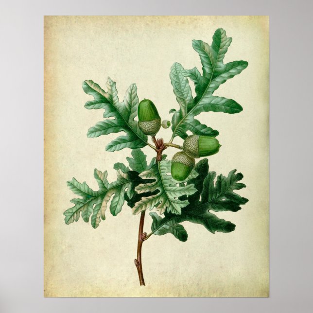 Oak Leaves no.5 Farmhouse Wall Decor (Front)