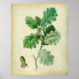 Oak Leaves Wall Art no.2 Farmhouse Decor