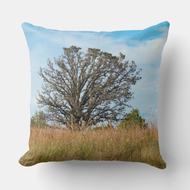 Oak Tree and Tall Grass Prairie Throw Pillow (Front)